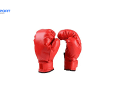 Punching Mitts / Boxing Gloves (Optional Expansion)